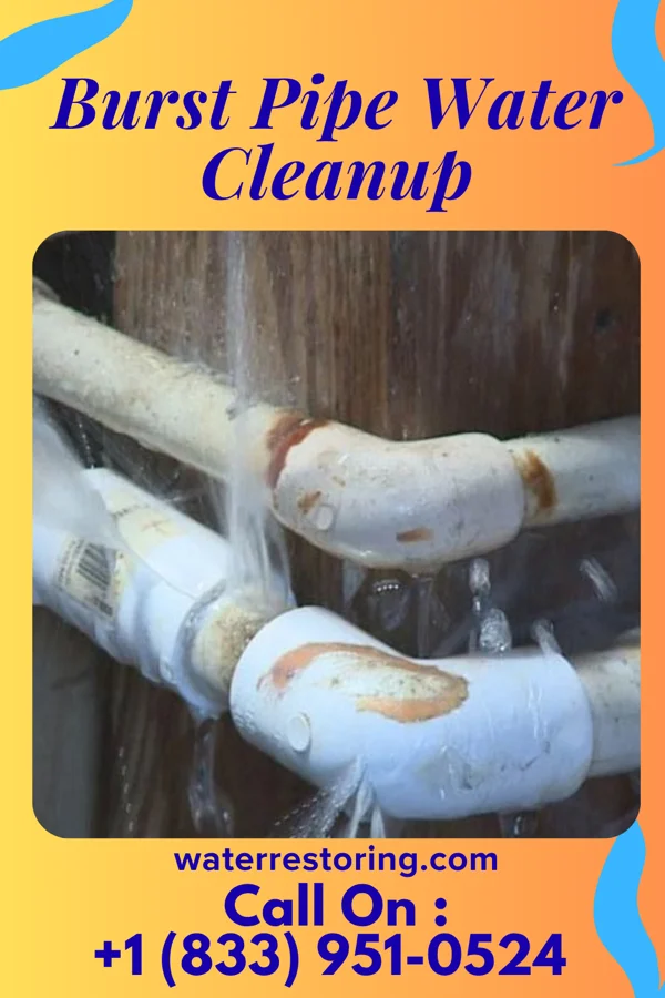 Burst Pipe Water Cleanup in The Hills, NJ