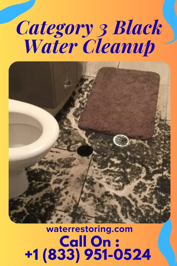 Category 3 Black Water Cleanup in The Hills, NJ