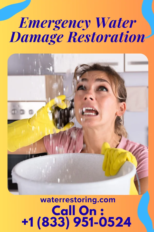 Emergency Water Damage Restoration in The Hills, NJ