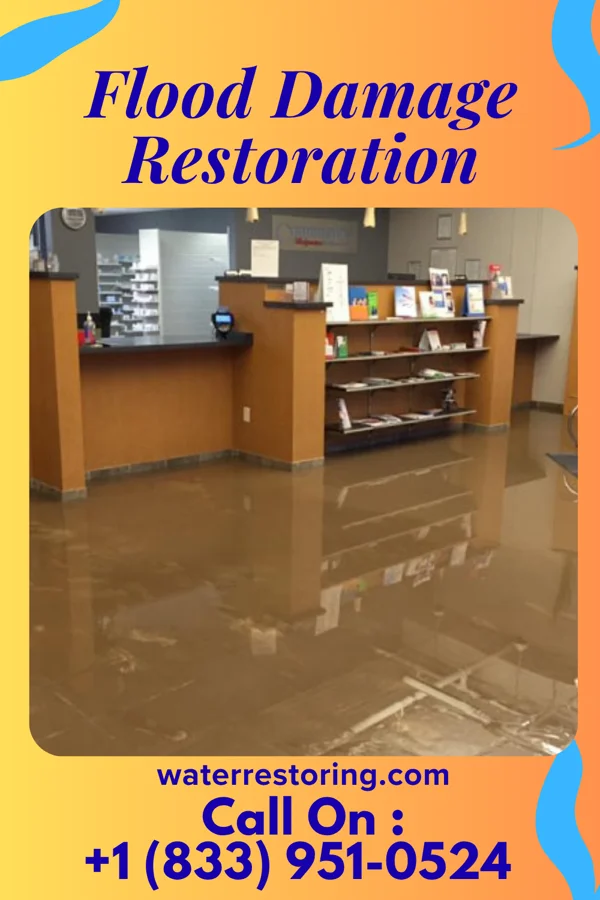 Flood Damage Restoration in The Hills, NJ