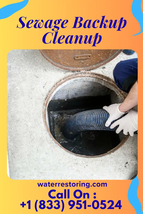 Sewage Backup Cleanup in The Hills, NJ
