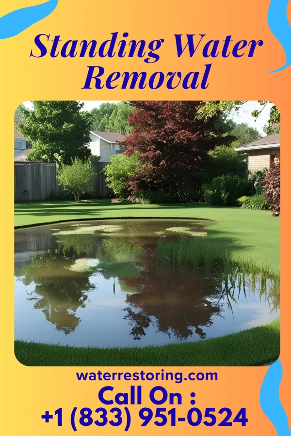 Standing Water Removal in The Hills, NJ
